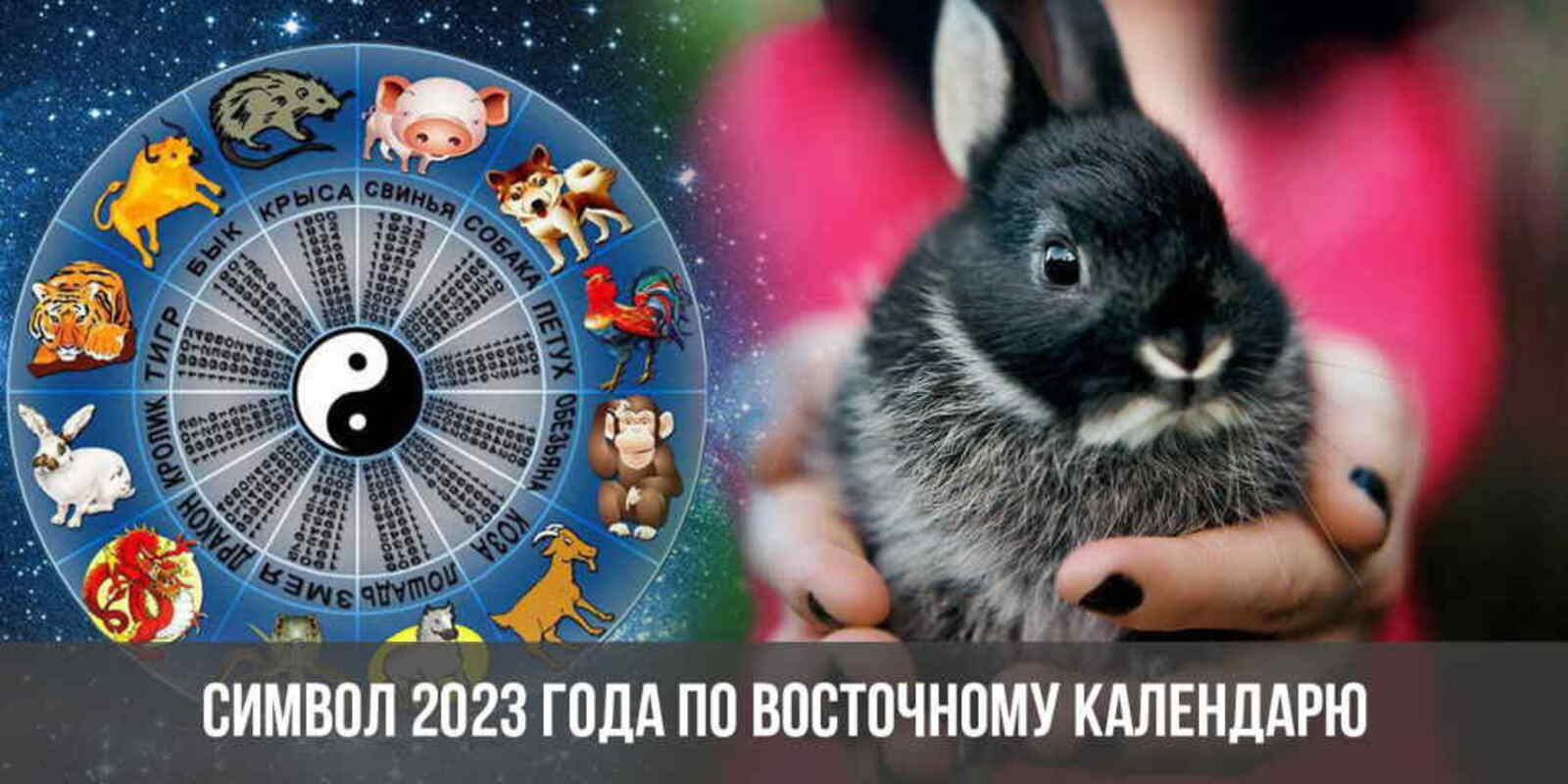 Знаки зодиака кролик года. Символ года 2023. Год кролика. Кролик символ года. 2023 Год год какого животного.